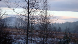 Winter Morning outside Kennel - Click to Enlarge
